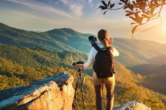 Specialty Tours